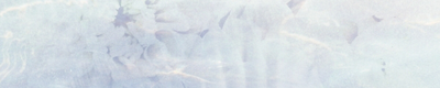 banner-002-2