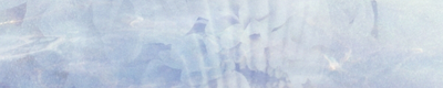 banner-002-3