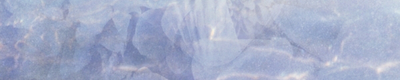 banner-002-4