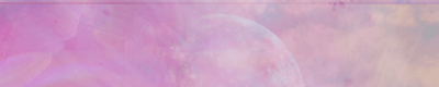 banner-005-1